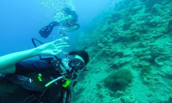 恶劣天气致澳大利亚超4.8万用户断电